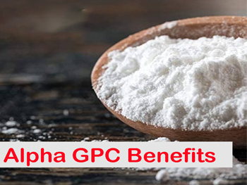 What Is The Function Of Glycerophosphorylcholine?